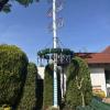 Die Maibaum-Kommission ist mit insgesamt sieben Gruppen in Memmingen und im Unterallgäu unterwegs gewesen. 