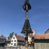 Die Maibaum-Kommission ist mit insgesamt sieben Gruppen in Memmingen und im Unterallgäu unterwegs gewesen. 