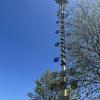 Die Maibaum-Kommission ist mit insgesamt sieben Gruppen in Memmingen und im Unterallgäu unterwegs gewesen. 