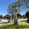Die Maibaum-Kommission ist mit insgesamt sieben Gruppen in Memmingen und im Unterallgäu unterwegs gewesen. 