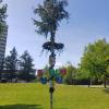 Die Maibaum-Kommission ist mit insgesamt sieben Gruppen in Memmingen und im Unterallgäu unterwegs gewesen. 