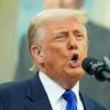 Trump kündigte Gespräche mit Vertretern der Filmindustrie an.