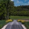 Ein Holzabfuhrweg in Großrinderfeld. Dieser wurde im Rahmen des Flurneuordnungsverfahrens Großrinderfeld (Wald) gebaut.