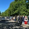 Die Besucherinnen und Besucher standen teils lange an, um zum Japanischen Frühlingsfest zu kommen.