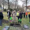 Im Kurpark von Bad Königshofen wurden im Rahmen der Tagung und des Jubiläums 25 Jahre Deutscher Apitherapie-Bund Bäume gepflanzt. Im Kurpark von Bad Königshofen wurden im Rahmen der Tagung und des Jubiläums 25 Jahre Deutscher Apitherapie-Bund Bäume gepflanzt.