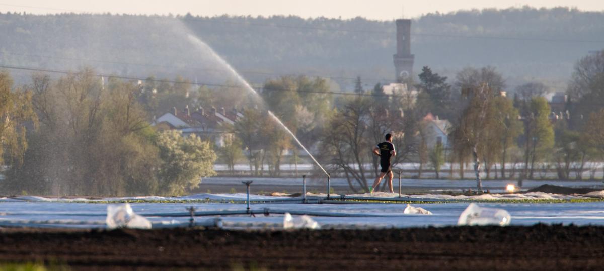 "Einzigartiger Schatz": Metropolregion Nürnberg bewirbt sich um Welt-Agrarkulturerbe