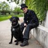Im Berliner Tierheim warten aktuell 18 schwarze Hunde und Katzen.