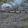 Ein Zug der Harzer Schmalspurbahnen GmbH (HSB) fährt mit einer Dampflok bespannt auf den Brocken.