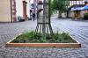 Blühende Baumscheiben statt trostloser Gitter: In der Oberen Hauptstraße testet die Stadt Karlstadt neue Bepflanzungen als Beitrag zu mehr Grün und einfacher Pflege in der Altstadt.