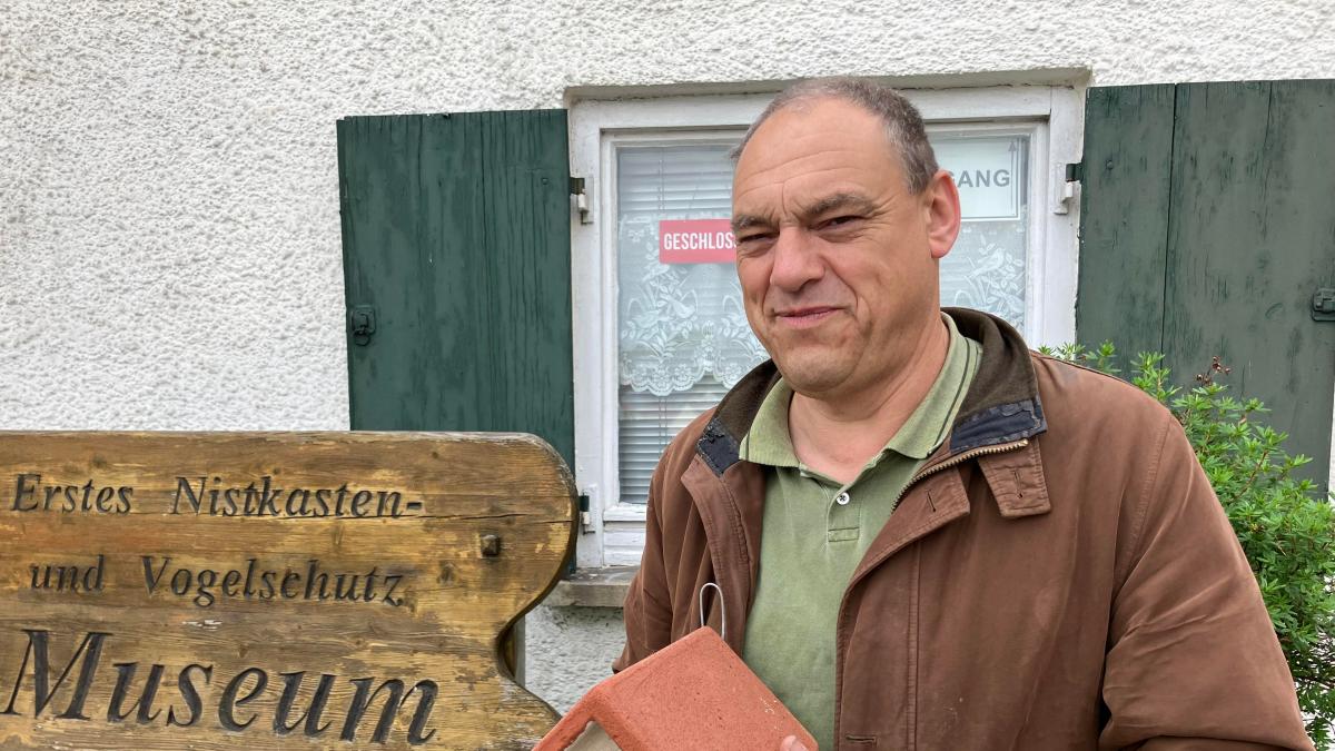 Germany's only nesting box museum in Biberach: History, biodiversity ...