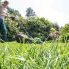 Kurz getrimmt oder dichtes Gras? Für Gartenliebhaber und Gartenliebhaberinnen sowie für Tiere hat es viele Vorteile, wenn seltener gemäht wird.