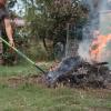 Gartenabfälle zu verbrennen ist in Deutschland nur in Ausnahmefällen erlaubt.