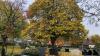 Auf dem Mistelfelder Friedhof (Foto aus dem Herbst 2022) soll ein WC errichtet werden, was im Hauptausschuss zu launigen Diskussionen führte. 