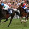 Kamsin (l.) und Adlerflug, Großer Preis von Baden, Galopprennbahn 
Iffezheim, Große Woche 2008