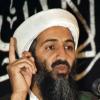 Osama bin Laden: Sohn eines saudischen Baulöwen und Milliardärs.