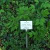 Neuer Lerngarten mit Wildnis-Bereich