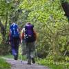 Romantische Wanderung durch das Würmtal