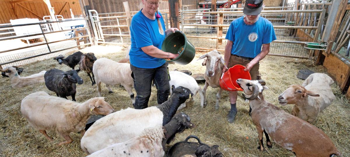 Der Lebenshof Hohenwart sucht Verstärkung