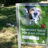 Umfrage: Hundekot in Grünanlagen - Werden Hundehalter zu Recht beschuldigt?