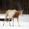 Führung im Karlsruher Zoo