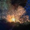 Flächenbrand in Neureut am 9. April.