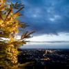 Vom Turmberg hat mein einen perfekten Ausblick auf die Stadt: Aber wer das Feuerwerk zu Silvester von dort aus bestaunen möchte muss schnell sein.