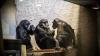 Der Karlsruher Zoo am zweiten Weihnachtsfeiertag.