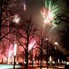 Feuerwerk kann gerade bei Tieren großen Stress auslösen, daher gilt auch in Naturschutzgebieten ein Böllerverbot.