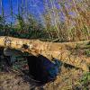 Flakbunker am Turmberg
