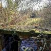 Flakbunker am Turmberg