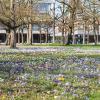 Karlsruhe genießt die ersten Frühlingsstunden im Jahr.