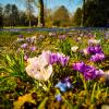 Karlsruhe genießt die ersten Frühlingsstunden im Jahr.