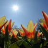 Frühling