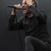 Donots