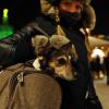 Die Polizei rät, Hunde beim Gassigehen in Rintheim an die Leine zu nehmen. In der vergangenen Woche waren hier Giftköder gefunden worden, ein Hund starb.
