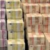 Viel Geld: Laut dem Jahresabschluss 2011, den die Stadtverwaltung dem Gemeinderat am Dienstagnachmittag vorgelegt hat, hat die Stadt ein Plus in Höhe von über 15 Millionen Euro gemacht (ordentliches und außerordentliches Ergebnis zusammengenommen).