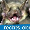 (Symbolbild)