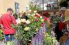 Der Rosenmarkt in Nördlingen findet auch bei Gästen, die nicht aus Nördlingen kommen, viel Anklang.