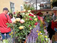 Der Rosenmarkt in Nördlingen findet auch bei Gästen, die nicht aus Nördlingen kommen, viel Anklang.