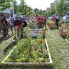 "Der Soziale Garten kommt in die Stadt"