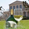 Das Sommer-Weinfest findet am 19. und 20. Juli im Staatsbad statt.