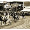 Historische Aufnahme des Renntages in Knielingen.