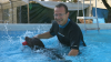 Hundetrainer Jörg Winter hat das Dog-Diving in die Fächerstadt geholt.