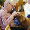 Kalte Schnauze, warmes Herz: Hunde-Besuche beleben Karlsruher Pflegeheime
