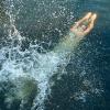 Nassforscher Protest: Ein Teilnehmer einer Schwimmdemo gegen das Badeverbot in der Spree in Berlin springt ins Wasser der Spree.