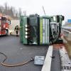 Der verunglückte Tiertransporter auf der A8 war auf dem Weg ins Schlachthaus.