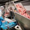 Ab 2021 darf in der Fleischindustrie nicht mehr mit Leiharbeit oder Werksverträgen gearbeitet werden.