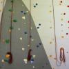 Für den ersten Paraclimbing Cup erhält der Alpenverein Karlsruhe den "Stern des Sports" in Silber