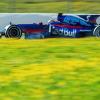 Der Rennwagen Typ STR12 von der Scuderia Toro Rosso. Foto: Jens Büttner