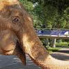 Bild: Zoo Karlsruhe